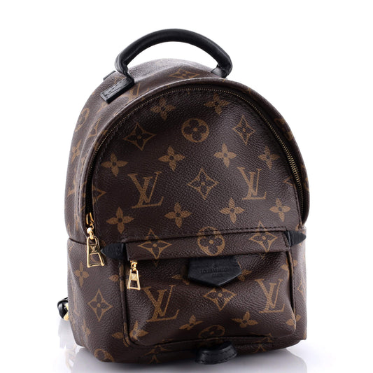 Louis Vuitton Palm Springs Backpack Monogram Canvas Mini