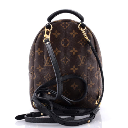 Louis Vuitton Palm Springs Backpack Monogram Canvas Mini