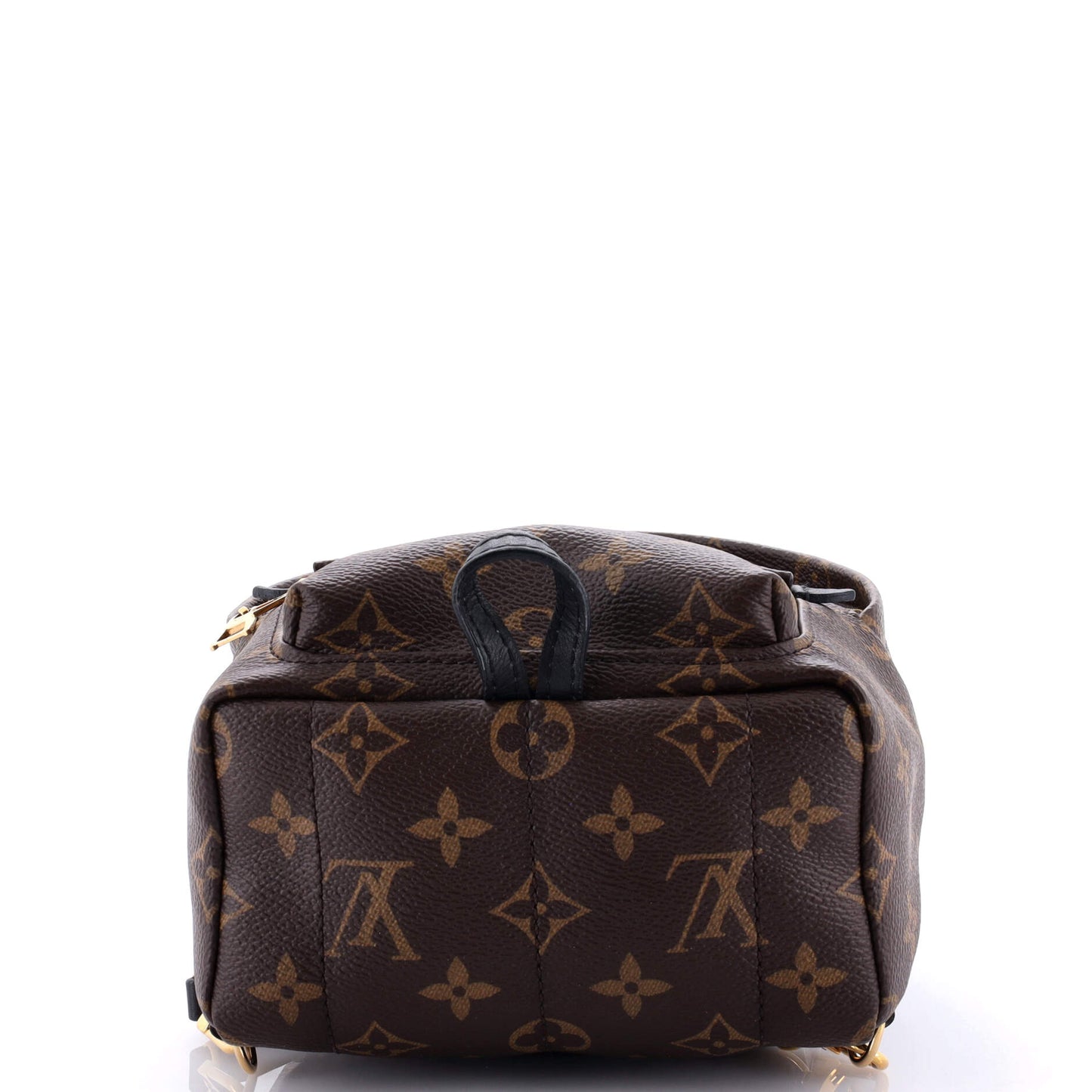 Louis Vuitton Palm Springs Backpack Monogram Canvas Mini
