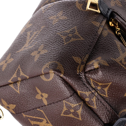 Louis Vuitton Palm Springs Backpack Monogram Canvas Mini
