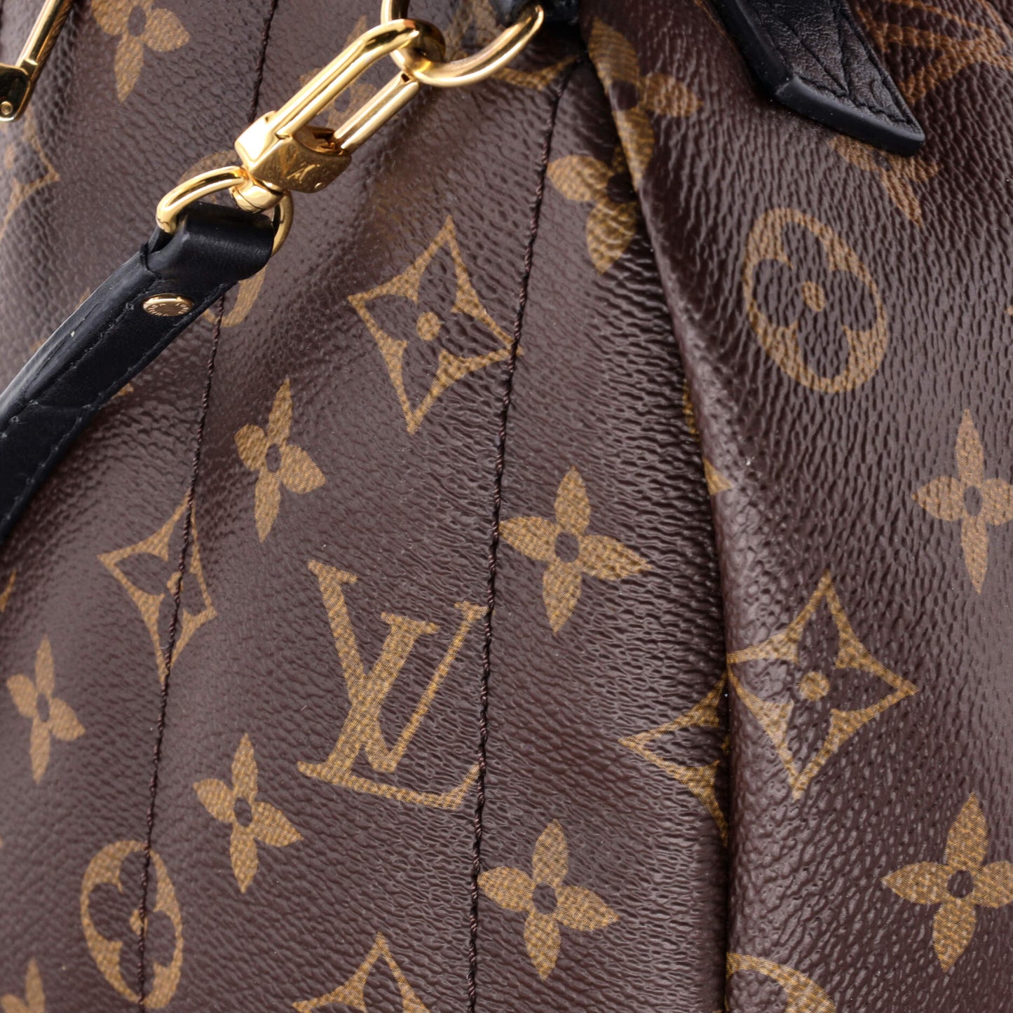 Louis Vuitton Palm Springs Backpack Monogram Canvas Mini