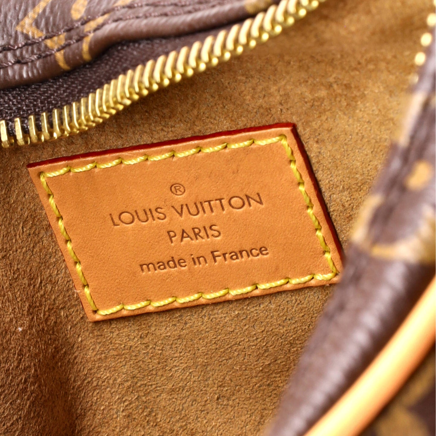 Louis Vuitton Loop Handbag Monogram Canvas