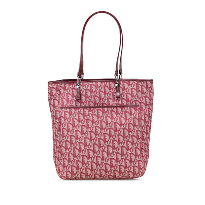 Dior Trotter Canvas Leather 2way Bag