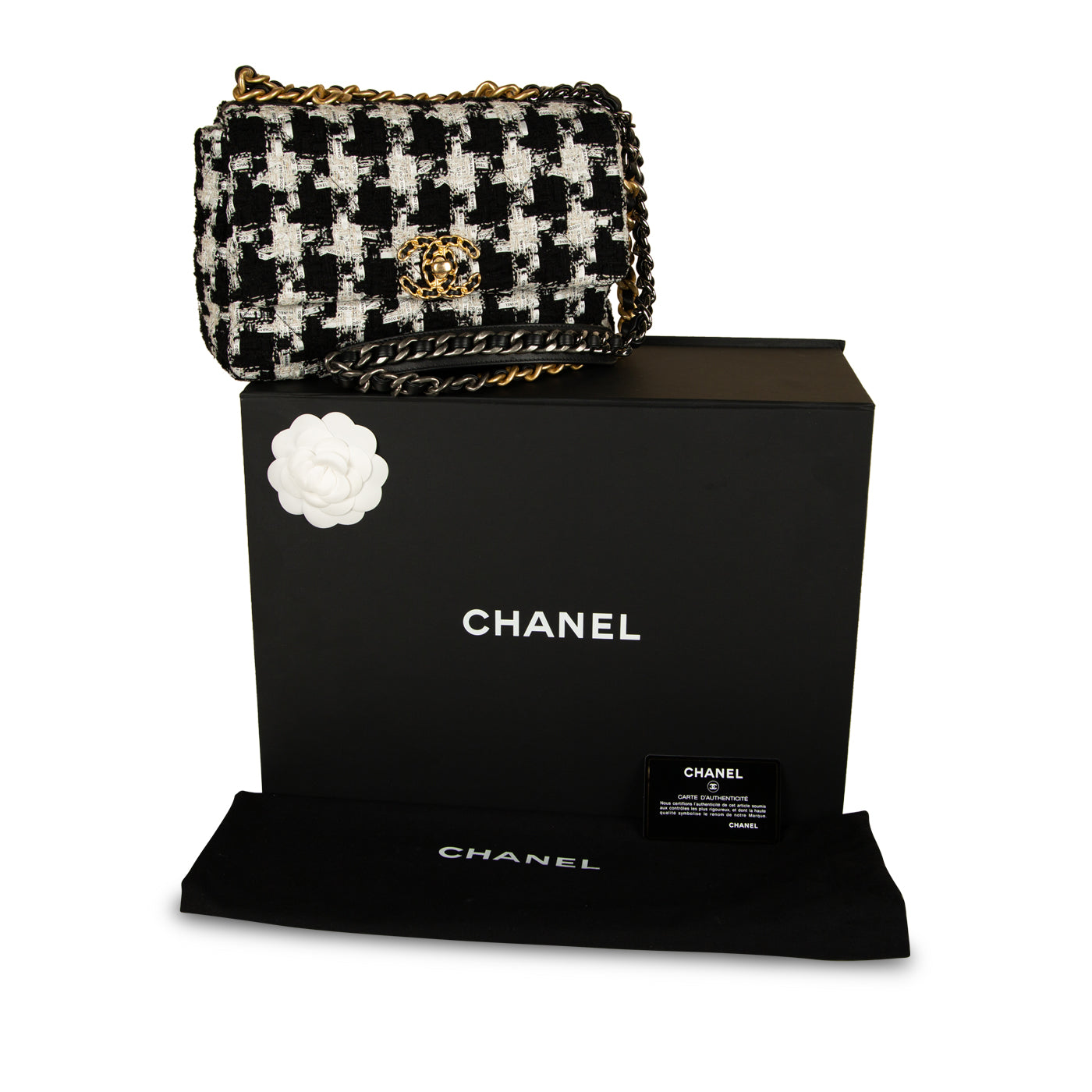 Chanel Chanel 19 Flap Bag - Small
