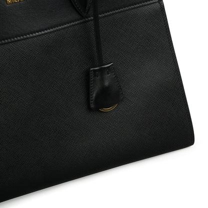 Prada Paradigme Bag