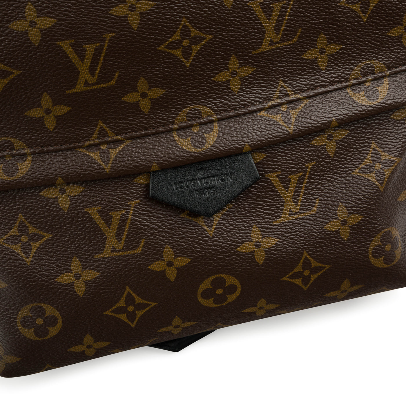 Louis Vuitton Palm Springs Backpack MM