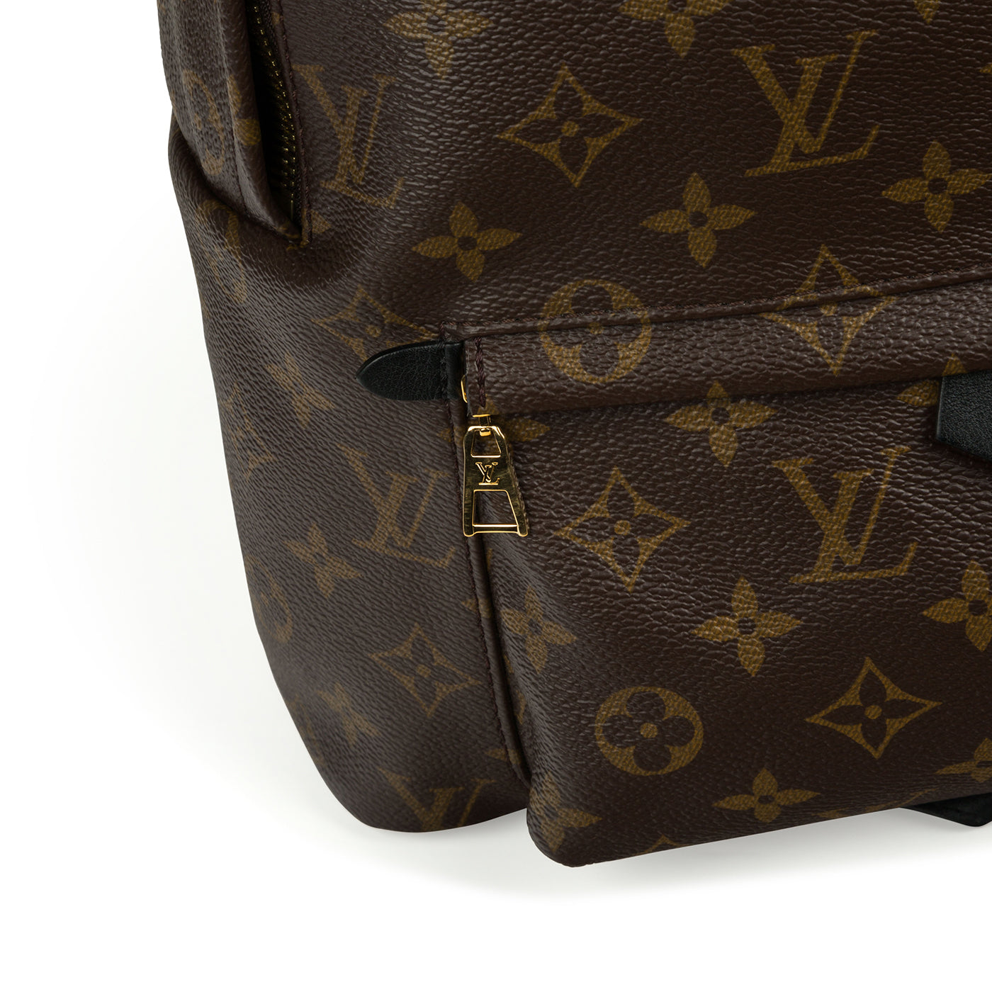Louis Vuitton Palm Springs Backpack MM