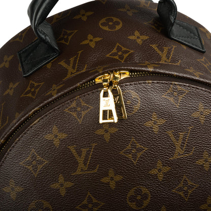 Louis Vuitton Palm Springs Backpack MM