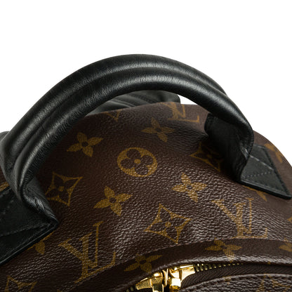 Louis Vuitton Palm Springs Backpack MM