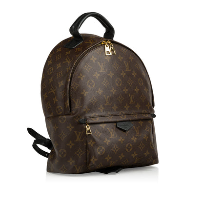 Louis Vuitton Palm Springs Backpack MM