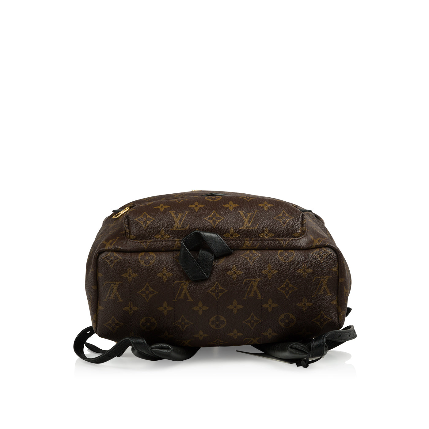 Louis Vuitton Palm Springs Backpack MM