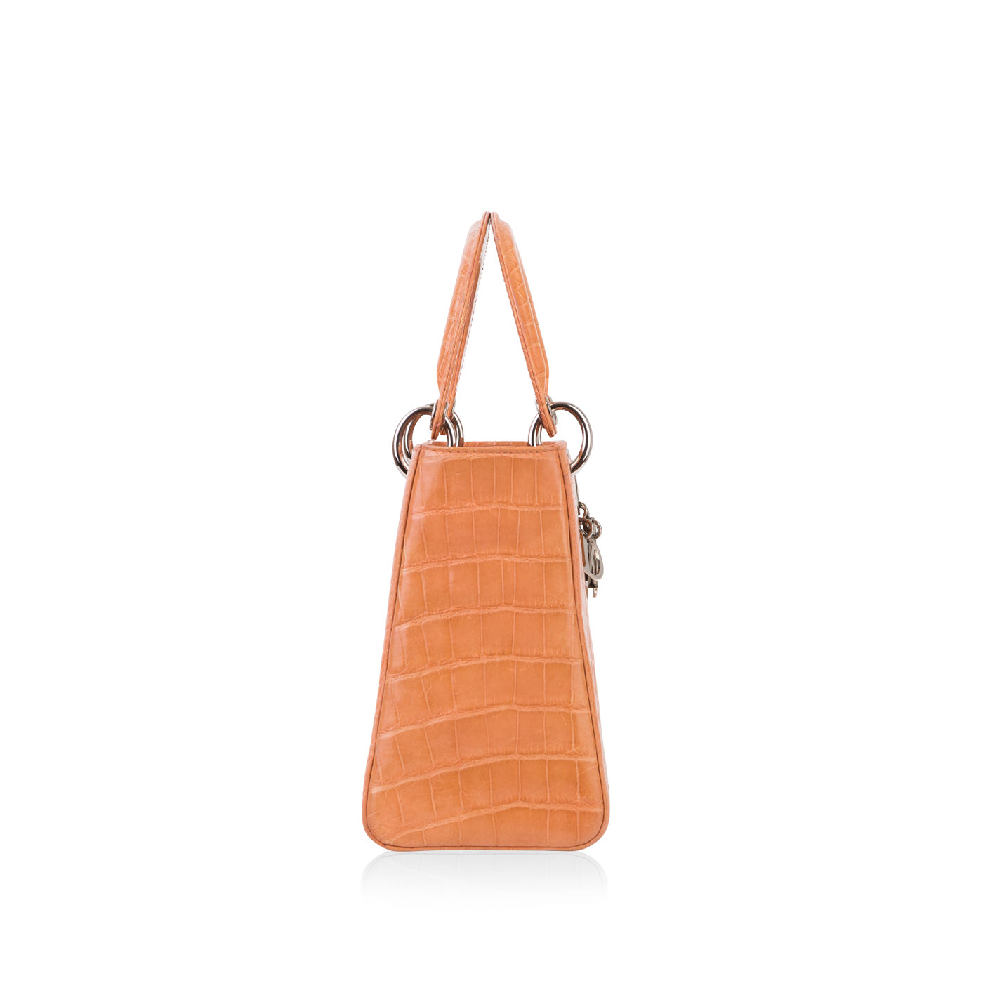 Christian Dior Lady Dior Crocodile
