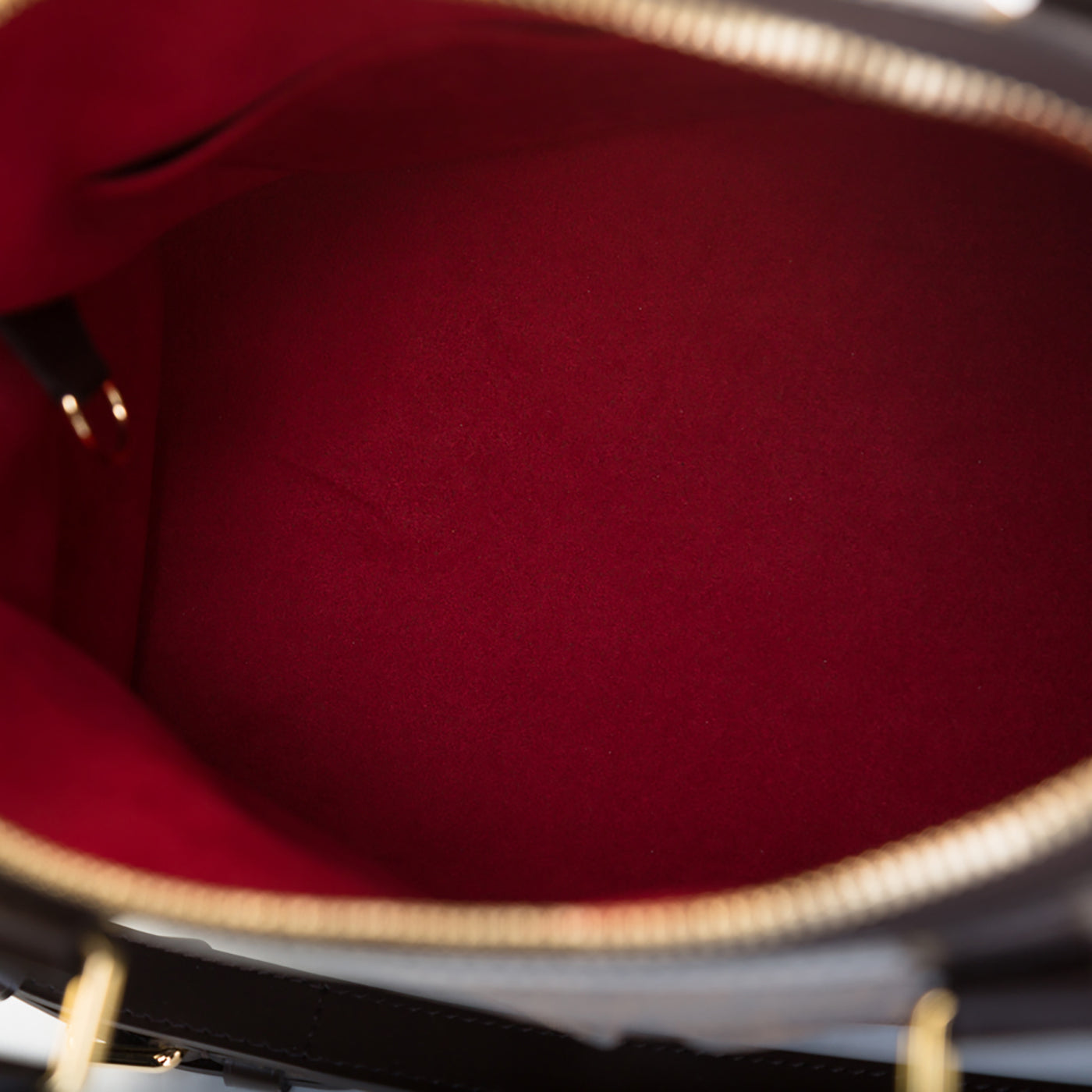 Louis Vuitton Trevi PM