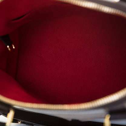 Louis Vuitton Trevi PM