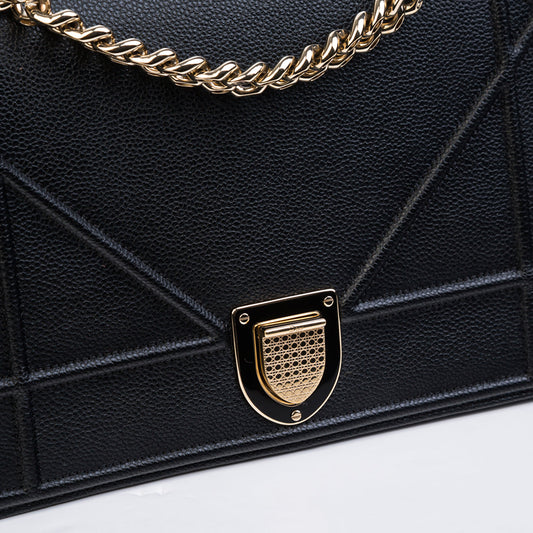 Christian Dior Diorama - Grained Leather