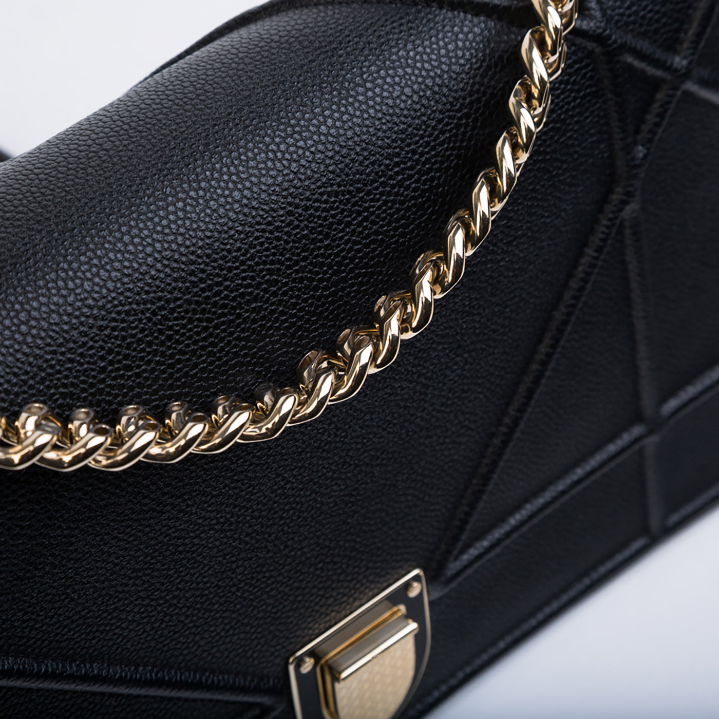 Christian Dior Diorama - Grained Leather