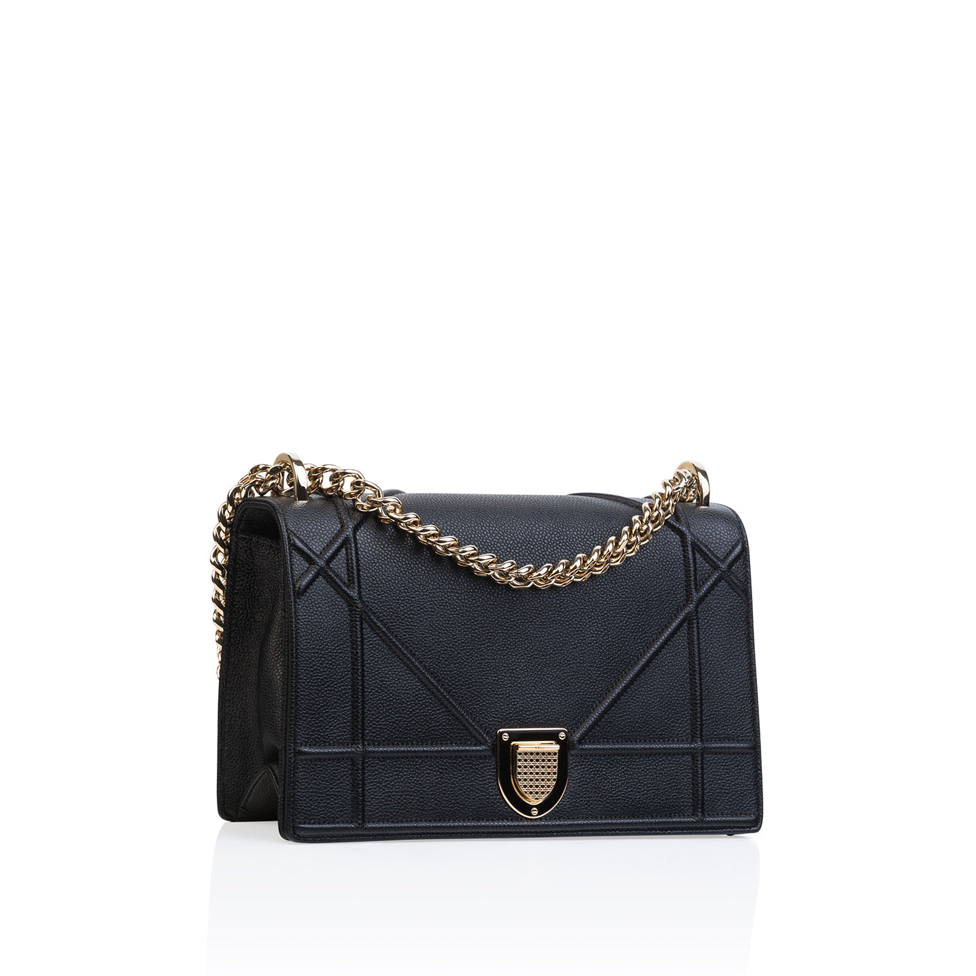 Christian Dior Diorama - Grained Leather