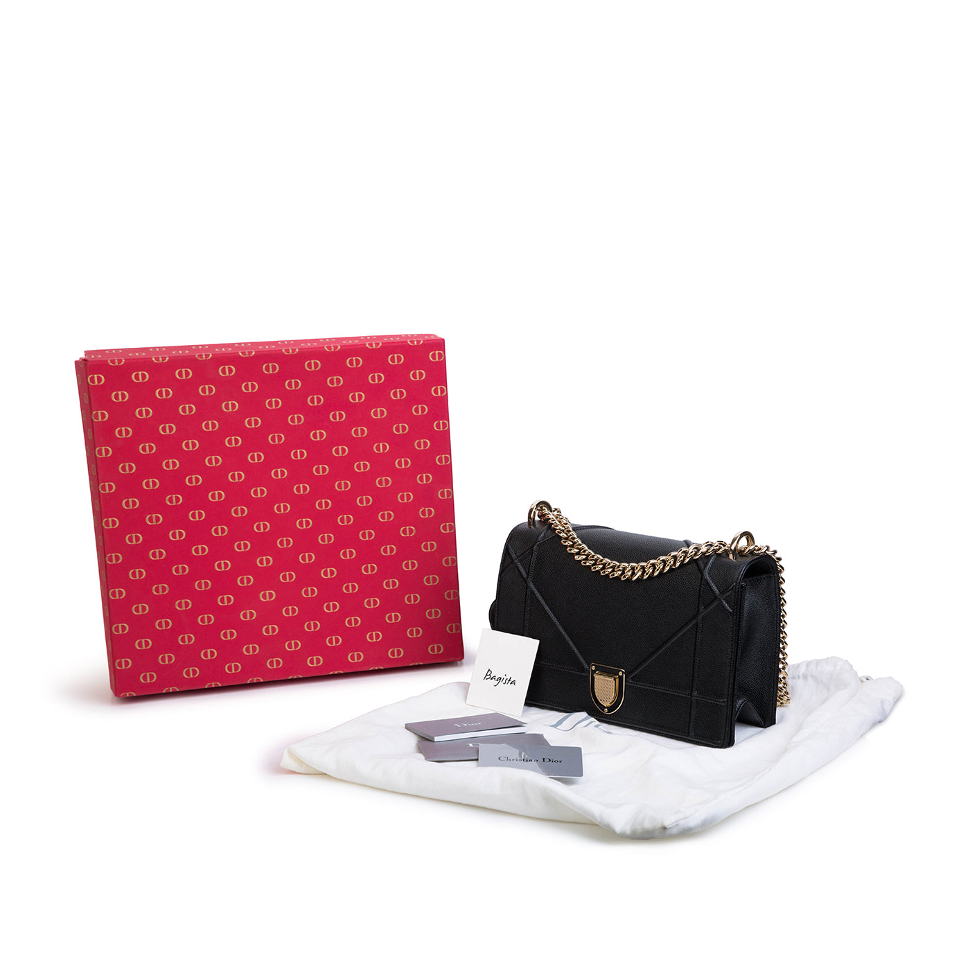 Christian Dior Diorama - Grained Leather