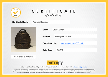 Louis Vuitto Palm Springs MM Monogram Canvas Backpack Bag