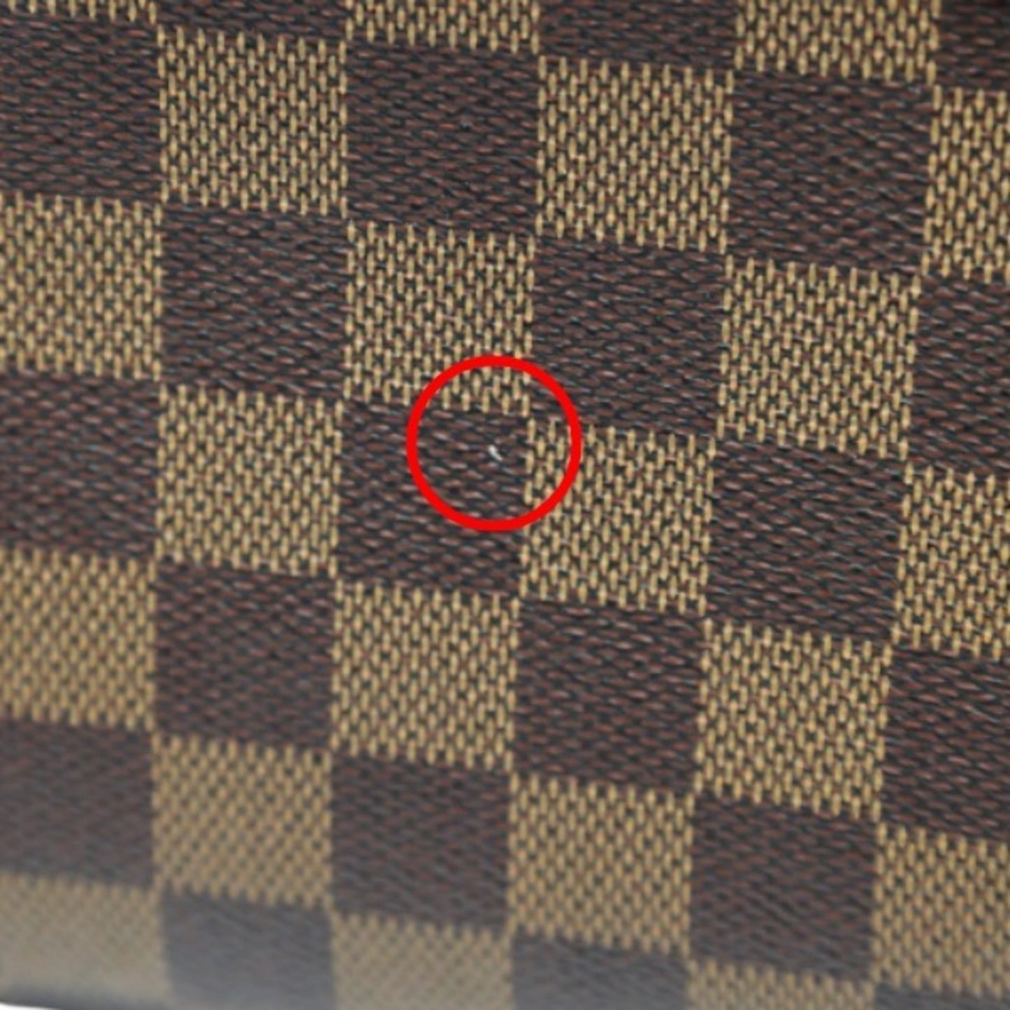 Louis Vuitton Ribera