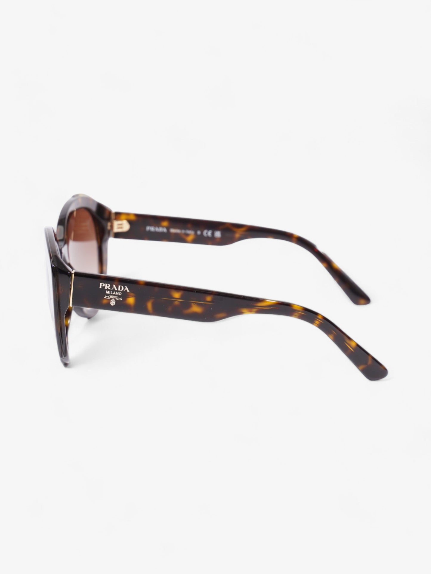 Prada Circular Sunglasses Tortoise  Acetate 140mm