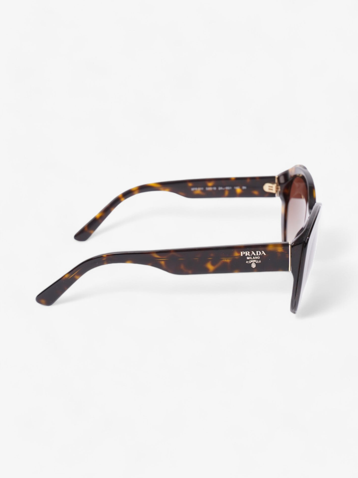 Prada Circular Sunglasses Tortoise  Acetate 140mm