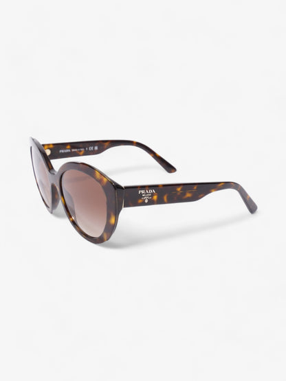 Prada Circular Sunglasses Tortoise  Acetate 140mm