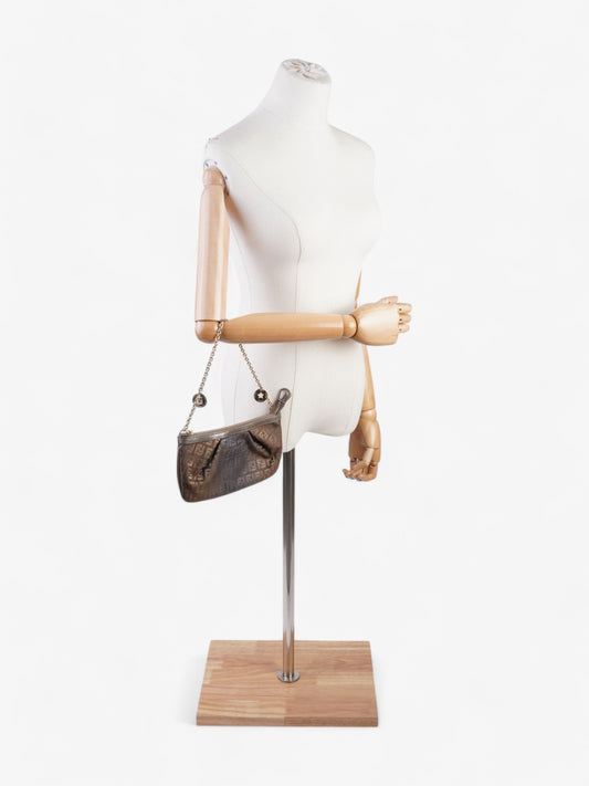 Fendi Zucca Ombre Pochette Brown  Canvas