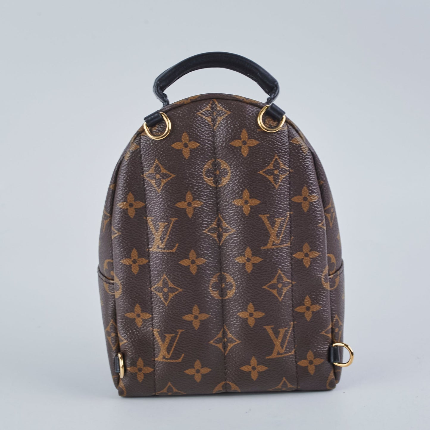 Louis Vuitton Mini Palm Spring Monogram New zippy