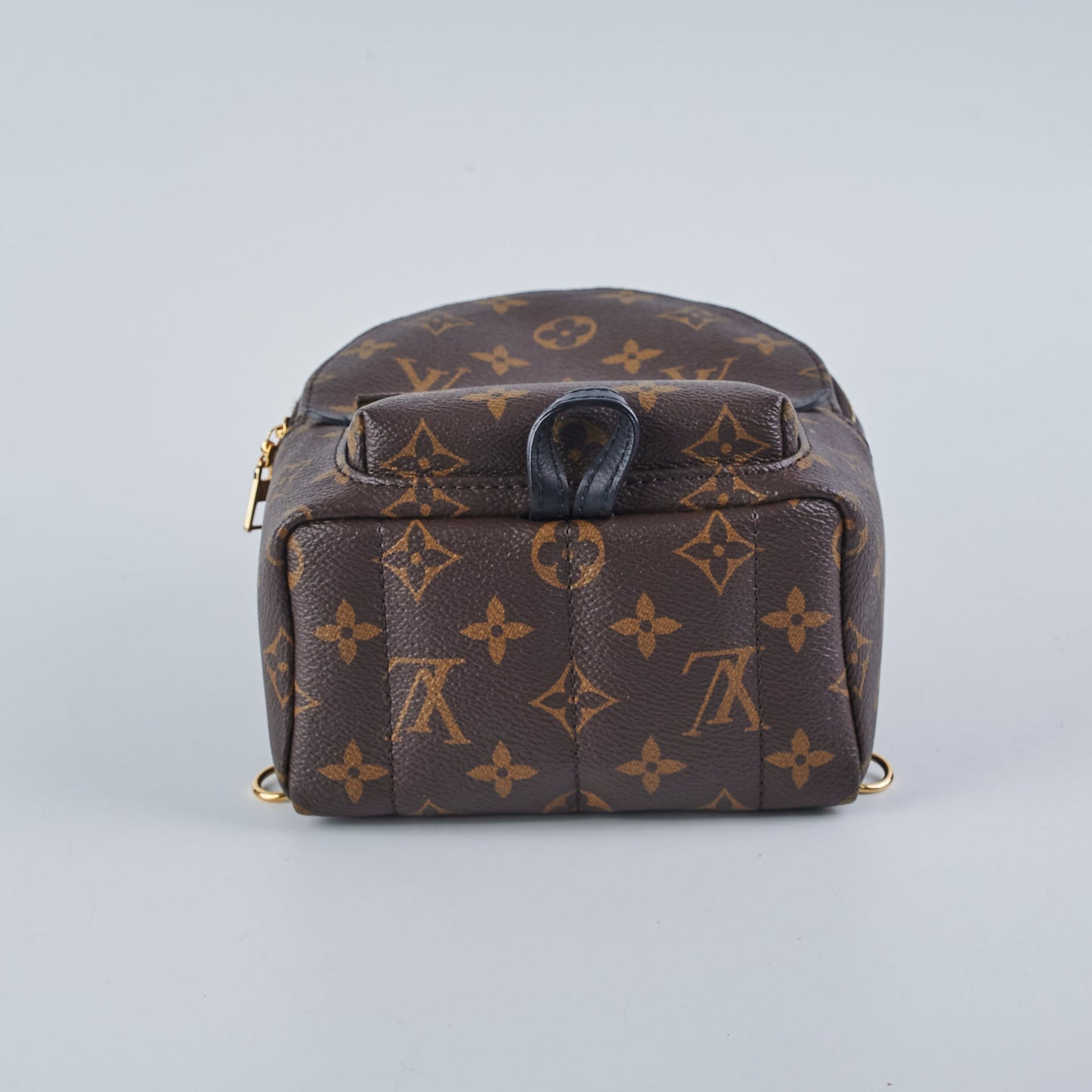 Louis Vuitton Mini Palm Spring Monogram New zippy