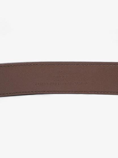 Gucci GG Marmont Thin Belt GG Supreme / Brown Leather 75cm / 30"