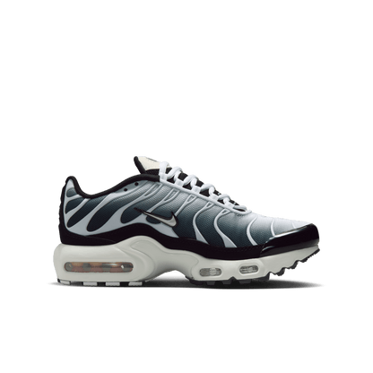 Big Kids' Nike Air Max Plus "Metallic Cool Grey"
