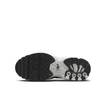 Big Kids' Nike Air Max Plus "Metallic Cool Grey"