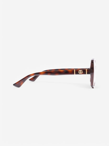 Gucci GG Sunglasses Tortoise  / Gold Acetate 145mm