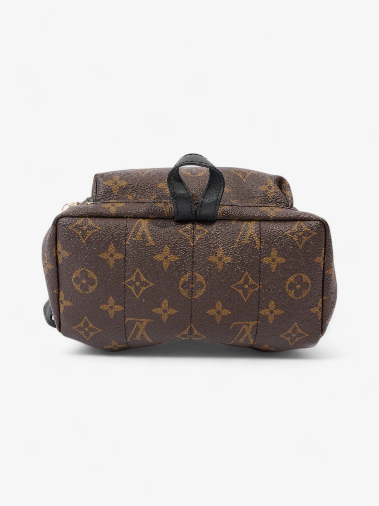 Louis Vuitton Palm Springs Monogram / Black Canvas PM
