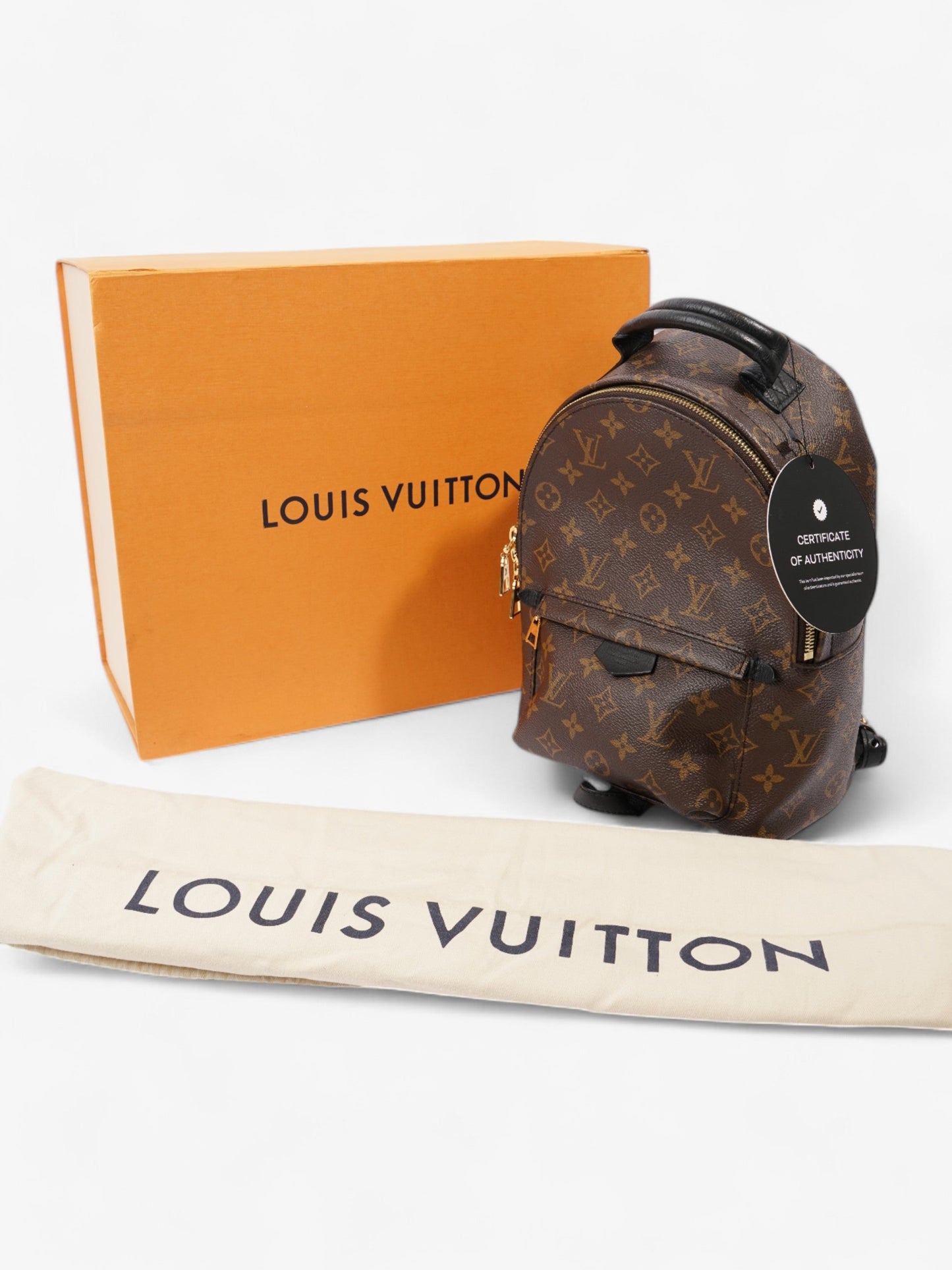 Louis Vuitton Palm Springs Monogram / Black Canvas PM