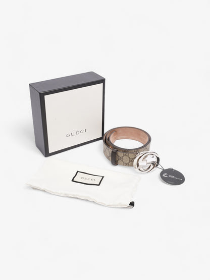 Gucci Blondie Belt Beige / Ebony Canvas 85cm / 34"