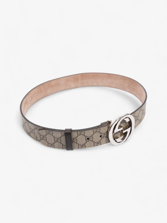 Gucci Blondie Belt Beige / Ebony Canvas 85cm / 34"