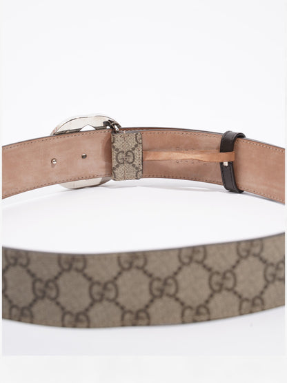 Gucci Blondie Belt Beige / Ebony Canvas 85cm / 34"
