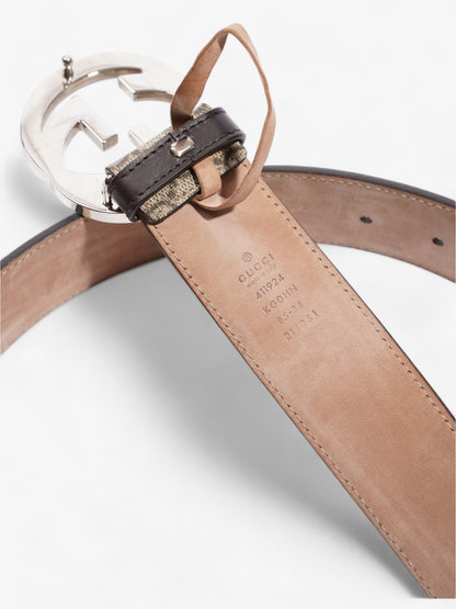 Gucci Blondie Belt Beige / Ebony Canvas 85cm / 34"