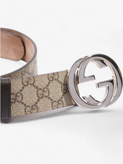 Gucci Blondie Belt Beige / Ebony Canvas 85cm / 34"