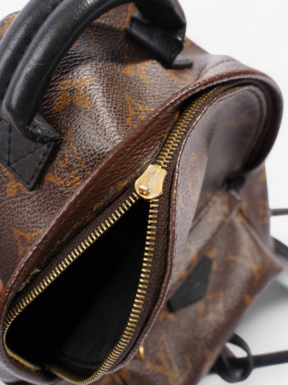 Louis Vuitton Palm Springs Monogram Coated Canvas Mini