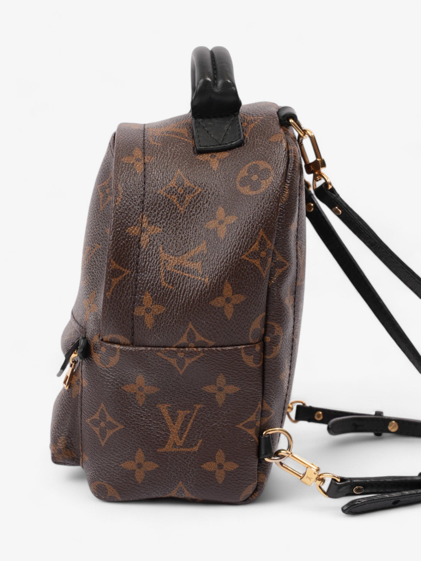 Louis Vuitton Palm Springs Monogram Coated Canvas Mini