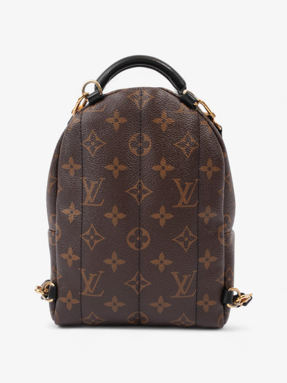 Louis Vuitton Palm Springs Monogram Coated Canvas Mini