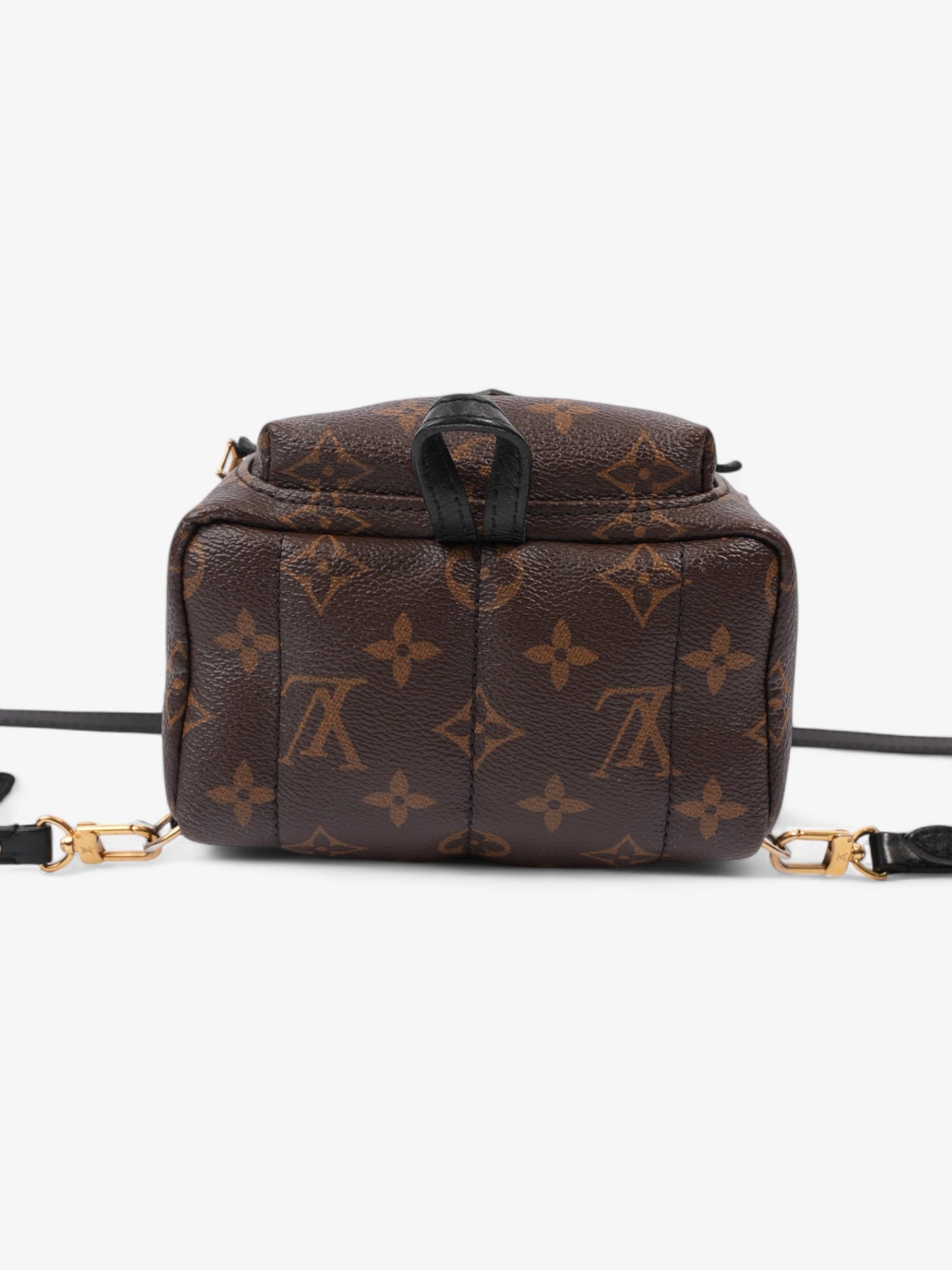 Louis Vuitton Palm Springs Monogram Coated Canvas Mini