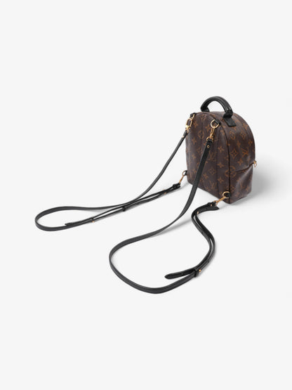 Louis Vuitton Palm Springs Monogram Coated Canvas Mini