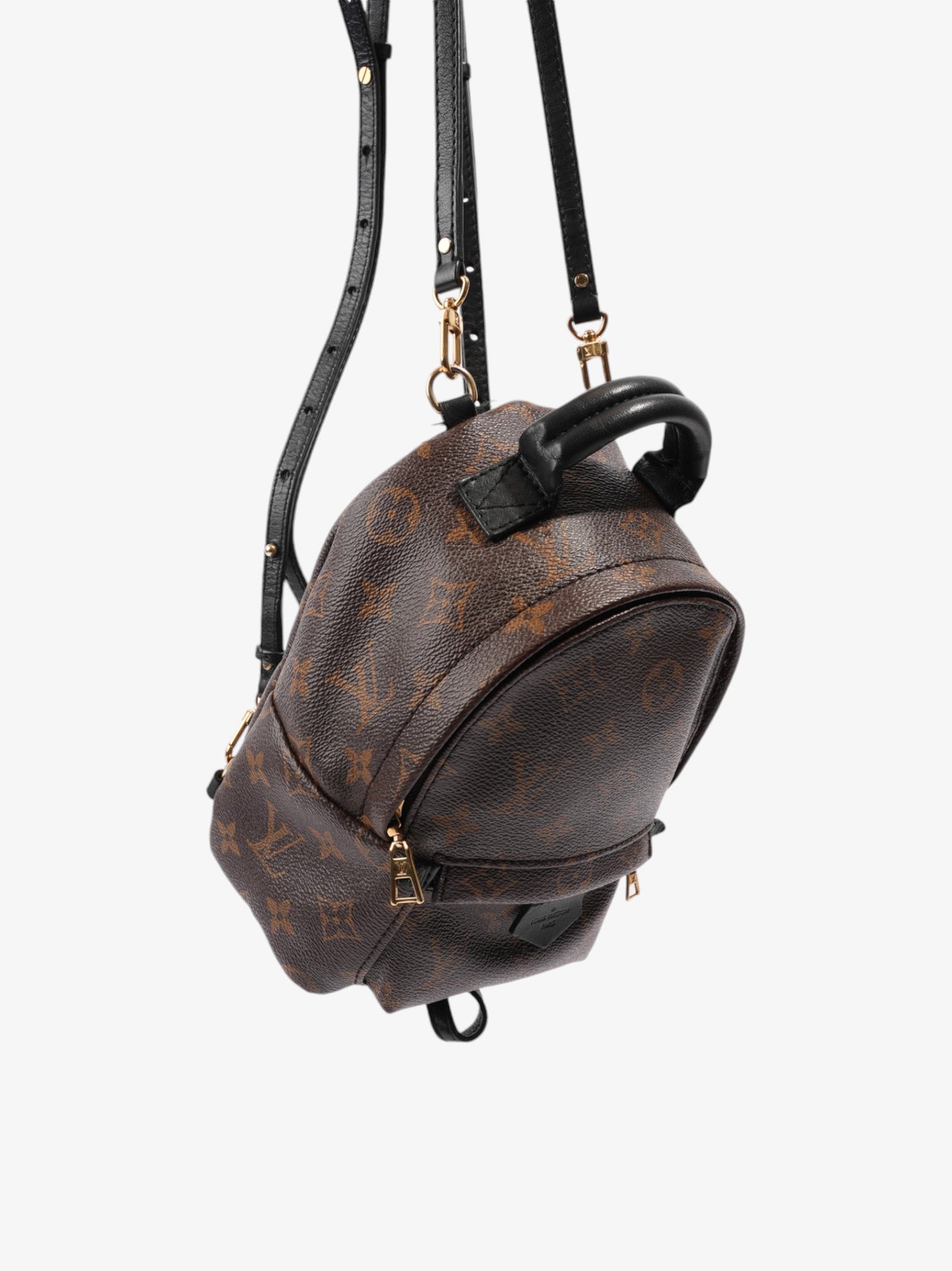Louis Vuitton Palm Springs Monogram Coated Canvas Mini