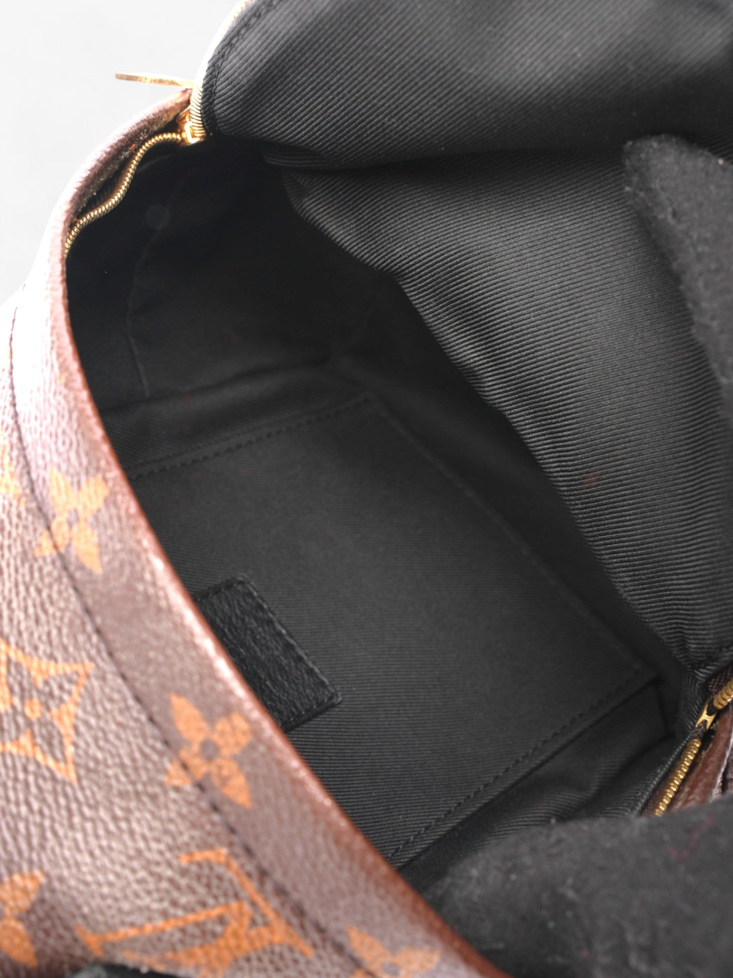 Louis Vuitton Palm Springs Monogram Coated Canvas Mini