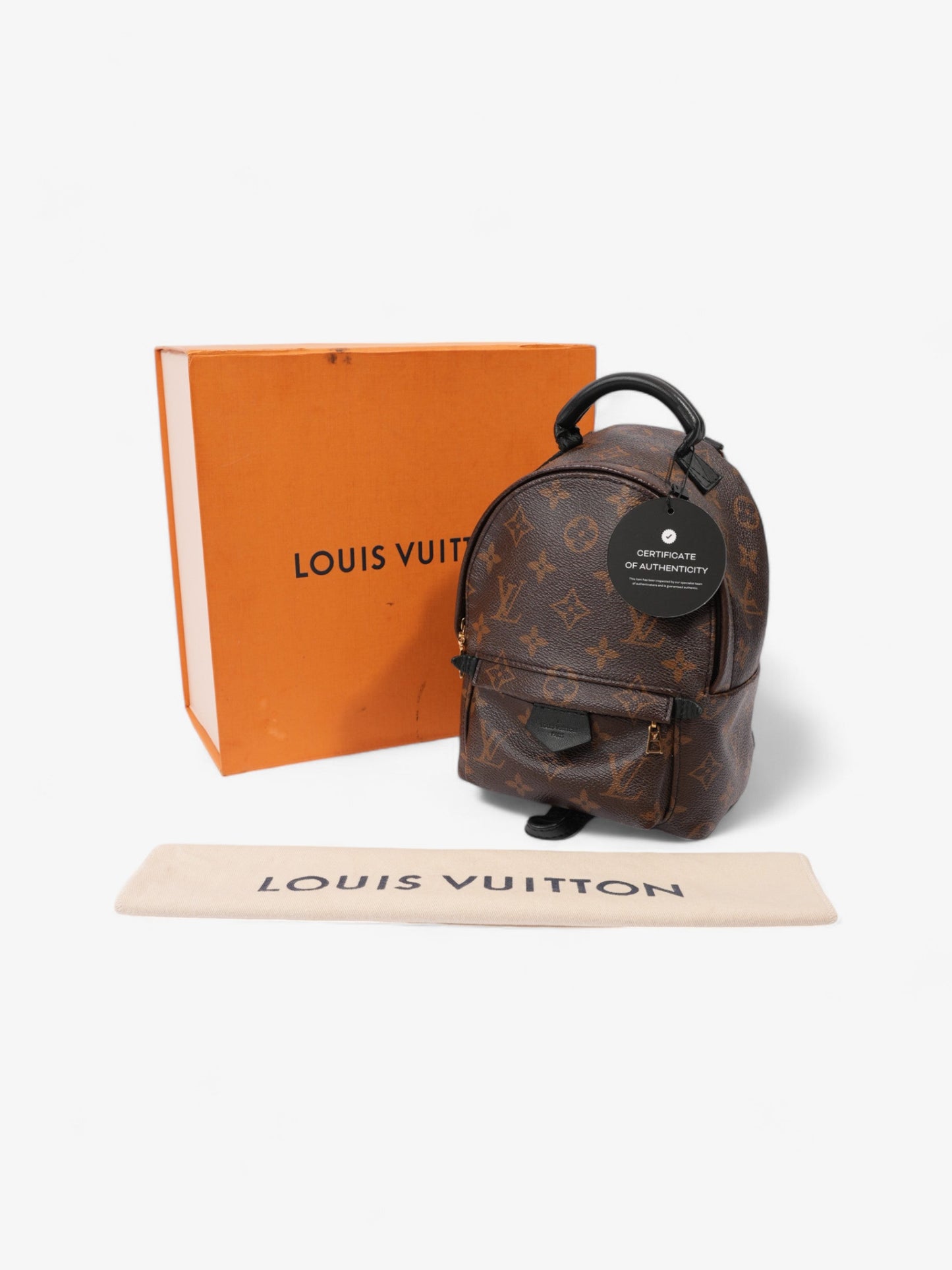 Louis Vuitton Palm Springs Monogram Coated Canvas Mini