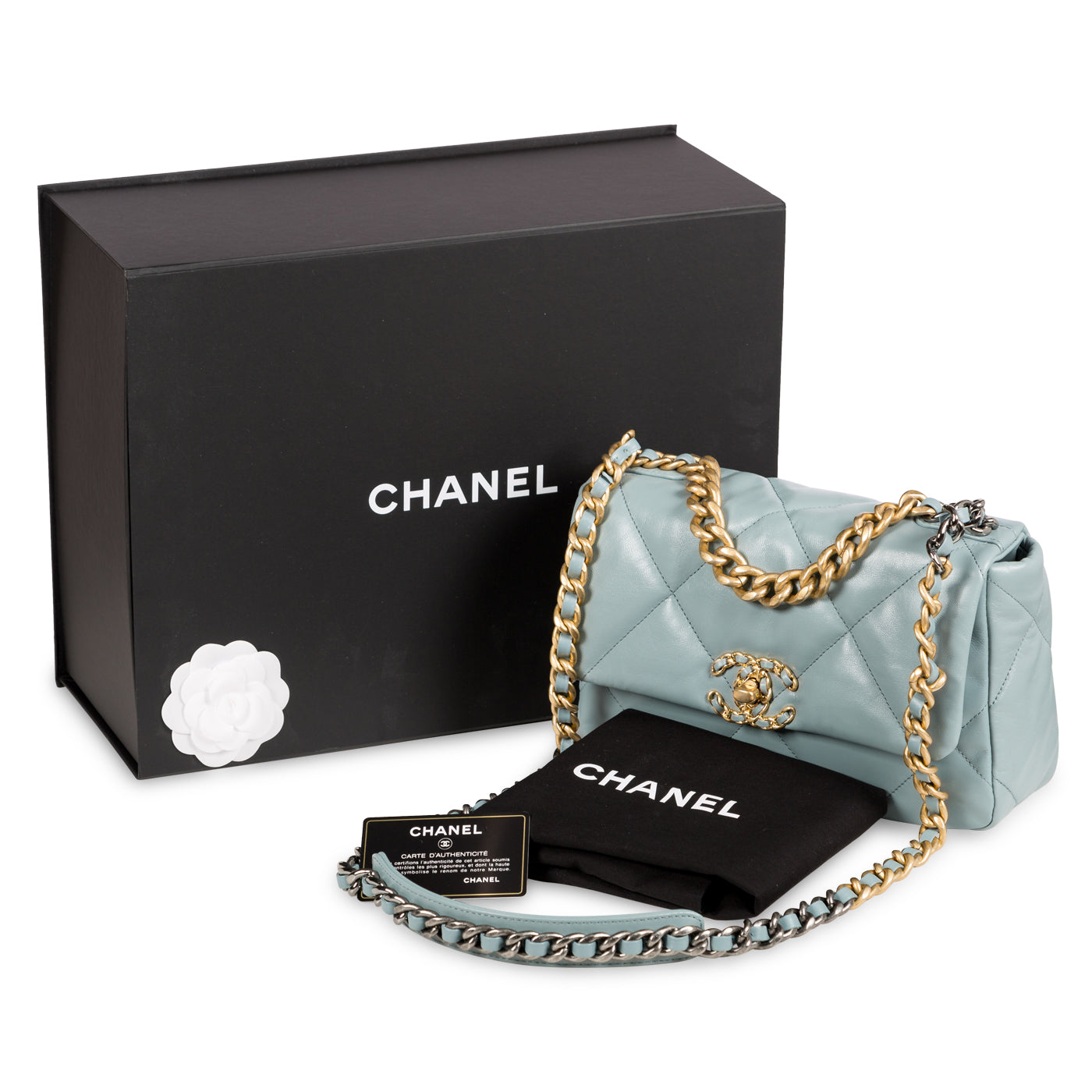 Chanel Chanel 19 Flap Bag - Small